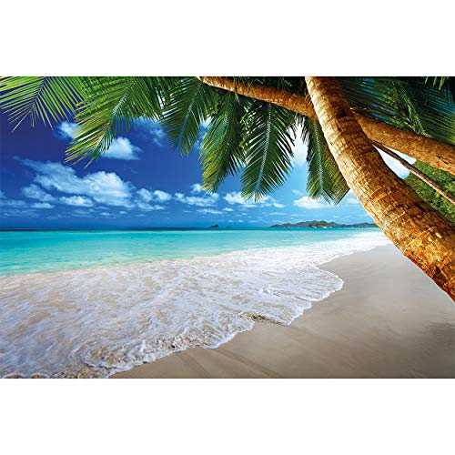 GREAT ART XXL Póster – Playa Palmera – Decoración Mural Sueño Caribeño Playa Bahía Paraíso Naturaleza Isla Palmeras Trópicos Cielo Azul Póster De Pared Póster Fotográfico (140 X 100 Cm)