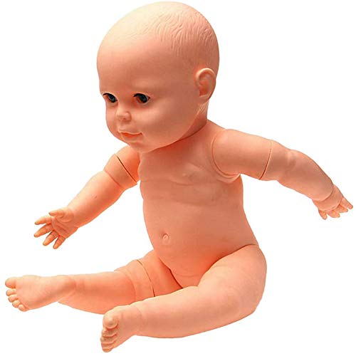 Liapianyun Recién Nacido Muñeca Modelo De PVC Modelo De Bebé 0-1 Años Modelo Niño Recién Nacido para La Formación - Cutis Piel Humana Simulada, Flesh
