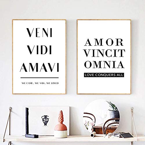 Love Quote Latin Art Print Motivational Poster Decor, Veni Vidi Amavi Minimalist Wall Art Canvas Painting Regalo de San Valentín 30x40cm-2pcs Sin marco