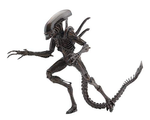 NECA- Xenomorfo (Serie 14) Guerrero Figura Alien Resurrection, Multicolor, 18 cm (51652)