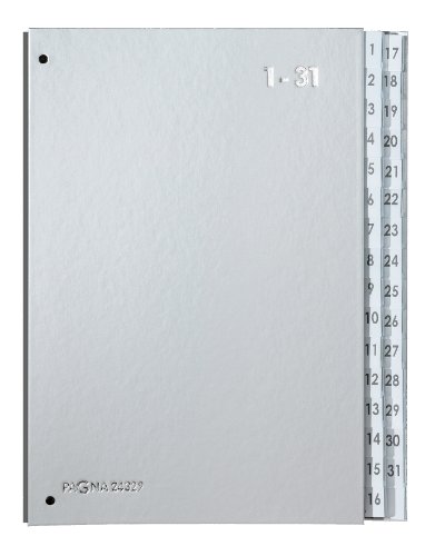 Pagna 24329-14 - Carpeta con separadores (32 secciones, 265 x 340 x 40 mm), color plateado