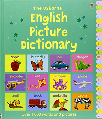 PICTURE DICTIONARY NEW EDITION