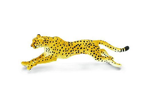 Safari WS Wildlife Cheetah