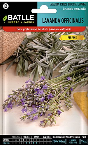 Semillas Aromáticas - Lavanda officinalis - Batlle Semillas Aromáticas - Lavanda officinalis - Batlle