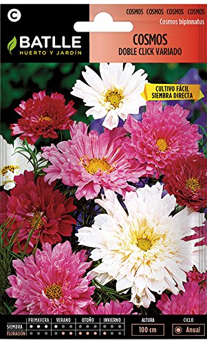 Semillas de Flores - Cosmos Doble Click - Batlle Semillas de Flores - Cosmos Doble Click - Batlle