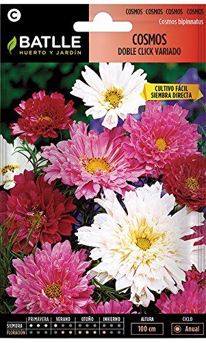 Semillas de Flores - Cosmos Doble Click - Batlle