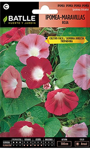 Semillas de Flores - Ipomea-Maravillas Roja - Batlle
