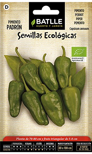 Semillas Ecológicas Hortícolas - Pimiento Padrón - Batlle Semillas Ecológicas Hortícolas - Pimiento Padrón - Batlle