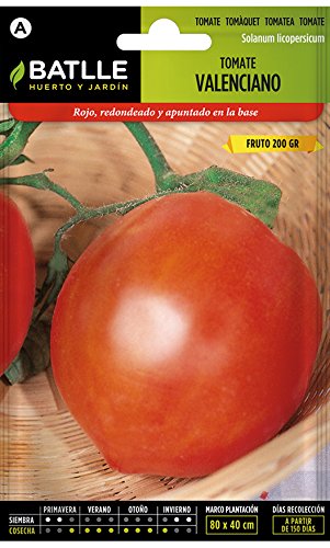 Semillas Hortícolas - Tomate Valenciano - Batlle