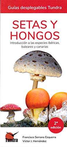 Setas y hongos. Introducción A Las especies ibéricas, Baleares y Canarias
