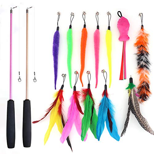 SLSON - Lote de 14 juguetes de plumas para gatos, 2 teases retráctiles, caña de pescar con 12 colores de recambios y campana, para interior de gatos y gatitos