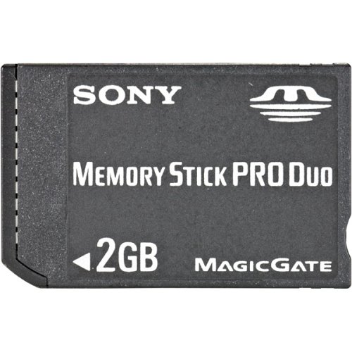 Sony AC-MSPD2 memoria flash - Tarjeta de memoria (2 GB, Memory Stick PRO Duo (MS Pro Duo), Negro, Rojo)