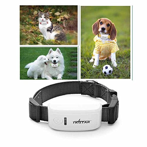 TKSTAR Mini Rastreador GPS para Mascotas, GPS en Tiempo Real, gsm/GPRS/GPS, Rastreador de Seguridad para Mascotas, Largo Tiempo en Espera, Localizador con Alarma SOS