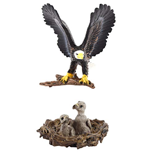 TOYANDONA Juego de 2 figuras de águila del mar blanco de cabeza blanca, modelo Wild Life FigurensCollection, Animales realistas, Estatua de pájaro para niños