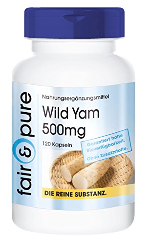 Wild Yam - Ñame silvestre 500mg - Extracto vegano de raíz de Dioscorea - 20% de Diosgenina - Alta pureza - 120 Cápsulas