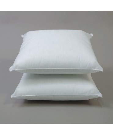 10XDIEZ Relleno cojin 2 Unidades - Relleno Suave y Esponjoso Que no se deforma - para Combinar con Cualquier Funda de cojín - Medidas cojin - 40x40cm 10XDIEZ Relleno cojin 2 Unidades - Relleno Suave y Esponjoso Que no se deforma - para Combinar con Cualquier Funda de cojín - Medidas cojin - 40x40cm
