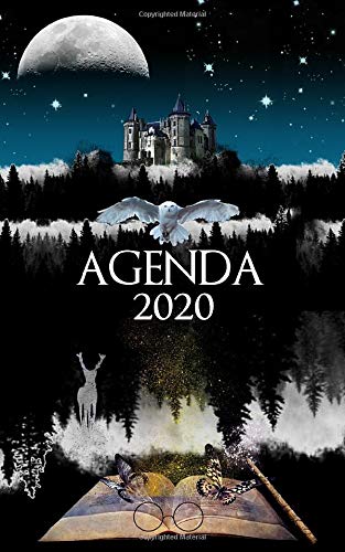 Agenda 2020: Weekly calendar planner Harry Potter