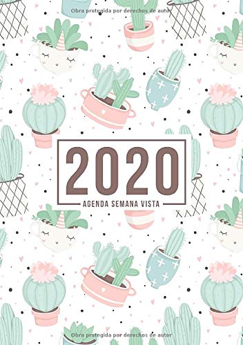 Agenda semana vista 2020: Del 1 de enero de 2020 al 31 de diciembre de 2020: Diario, organizador y planificador con vista semanal y mensual español: Lindo cactus en blanco 899-0