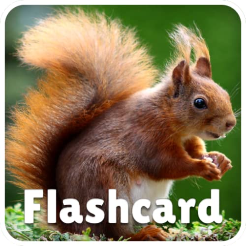 Animal Flashcards and Sounds - Fun and educational game for kids, preschool toddlers, boys and girls - Free