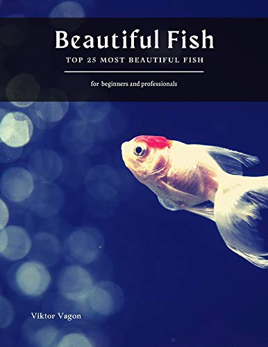 Beautiful Fish: Top 25 Most Beautiful Fish (English Edition)