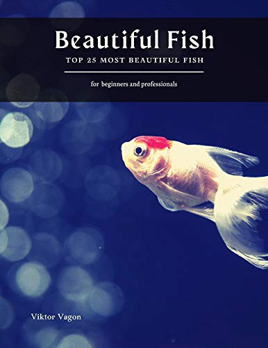 Beautiful Fish: Top 25 Most Beautiful Fish (English Edition) Beautiful Fish: Top 25 Most Beautiful Fish (English Edition)