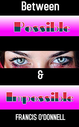 Between The Possible And Impossible: Beyond Logics... Extra Logical (English Edition)