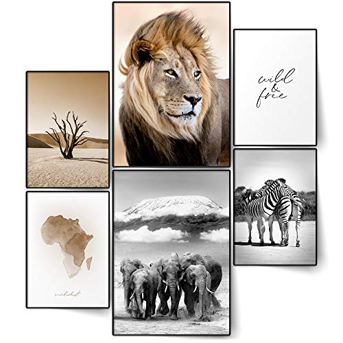 BLCKART Infinity XL Poster Set imágenes Africa Elegante doble cara Poster Safari León Elefante Zebra Salón Decoración (Afrika XL | 2 x A2 | 4 x A3 | sin marco)