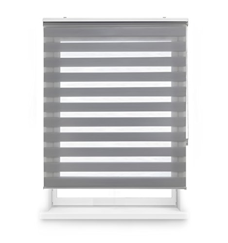 Blindecor Lira Estor Enrollable de Doble Capa, Noche y Día, Poliéster, Gris Plata, 160X250 Blindecor Lira Estor Enrollable de Doble Capa, Noche y Día, Poliéster, Gris Plata, 160X250