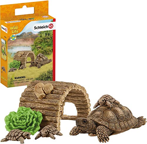 Casa para Tortugas Casa para Tortugas