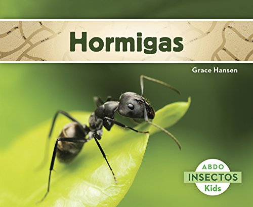 Hormigas (Abdo Kids: Insectos)
