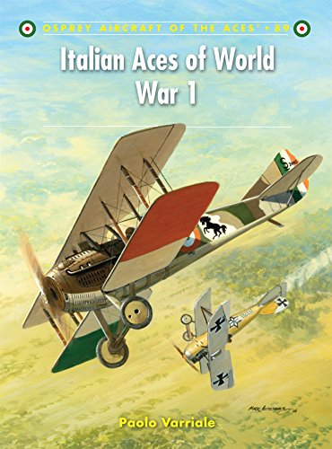 Italian Aces of World War 1: No. 89 (Aircraft of the Aces)