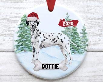 Lplpol Adorno de Navidad para perro dálmata, personalizado con nombre, acuarela personalizada para mascotas vacaciones 2020, recuerdo de mascotas, colgante de recuerdo redondo de 7,6 cm FM607