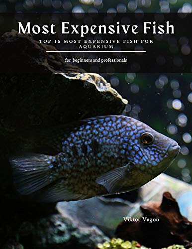 Most Expensive Fish: Top 16 Most Expensive Fish For Aquarium (English Edition) Most Expensive Fish: Top 16 Most Expensive Fish For Aquarium (English Edition)