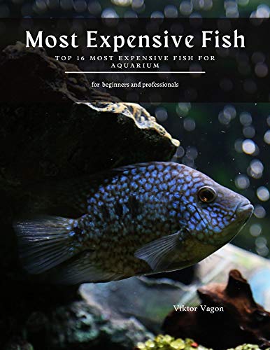 Most Expensive Fish: Top 16 Most Expensive Fish For Aquarium (English Edition)