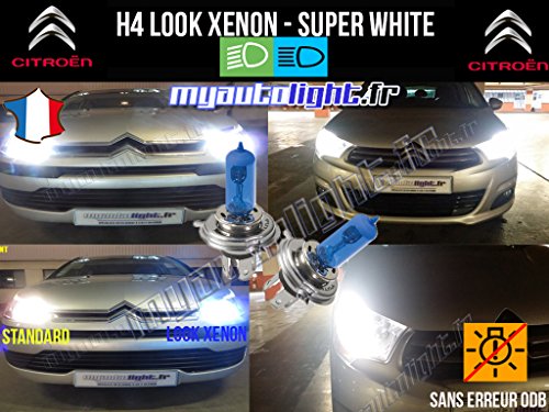 Pack de bombillas H4 blanco xenón – Citroen Xsara Picasso
