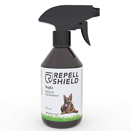 Repell Shield Spray Repelente para Perros - Ahuyentador de Perros Natural - Spray Antimordeduras Perros para Exteriores e Interiores, Eficacia Duradera - Pipi Stop con Fragancia de Hierbabuena, 250ml