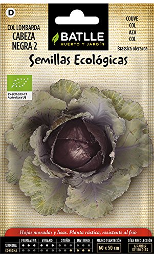 Semillas Ecológicas Hortícolas - Col Lombarda cabeza negra 2 - ECO - Batlle