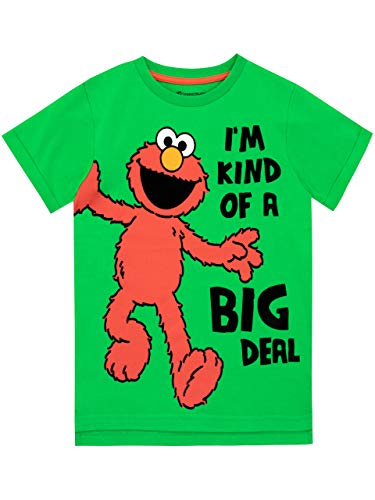 Sesame Street Camiseta de Manga Corta para niños Barrio Sésamo Elmo Verde 12-18 Meses