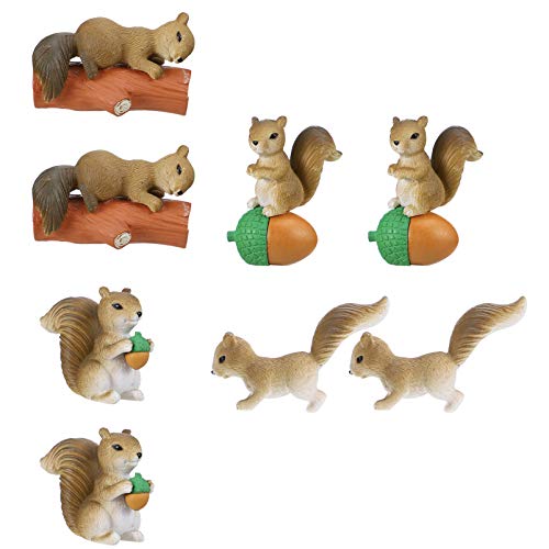TOYMYTOY 8 Piezas Mini Ardillas Figuras Animales Modelos Paisaje Jardín Decoración para Escritorio Oficina
