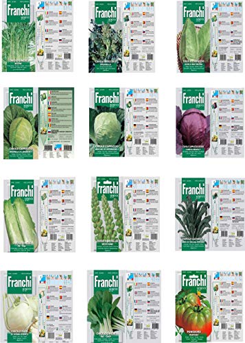 Vittle Italy Franchi 12 Pack Assorted 11 Cabbage Seeds and 1 Tomato Seed N.12