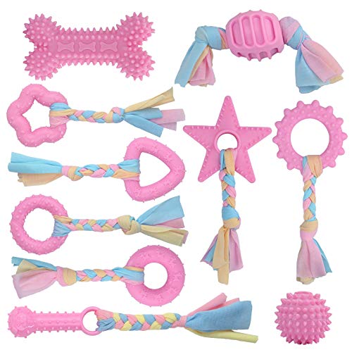 YMHPRIDE 10 Paquetes de Juguetes de Cuerda para Perros, Juegos de Regalo para Cachorros, Cuerda de algodón Natural, Cuerda Resistente, Juguetes para Masticar agresivos para Cachorros, dentición YMHPRIDE 10 Paquetes de Juguetes de Cuerda para Perros, Juegos de Regalo para Cachorros, Cuerda de algodón Natural, Cuerda Resistente, Juguetes para Masticar agresivos para Cachorros, dentición