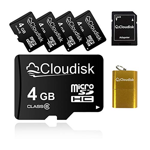5 Piezas Tarjeta Micro SD de 4 GB Tarjeta de Memoria MicroSD de 4 GB Clase 4, Paquete de 5 Unidades a Granel
