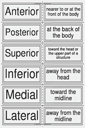 Anterior ,Posterior ,Superior,Inferior,Medial ,Lateral: Great 120 College Lined Pages 6'x 9' Personal Technical Terminology  Theme Notebook / ... Or Mortician Gift For Medical Examiner