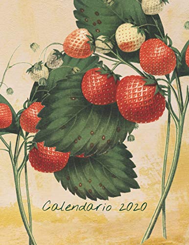 Calendario 2020: Mensualmente 2020 Calendario Ilustrado Frutal con Fechas y Fechas de Grandes Imágenes, Espacios para Registrar Ingresos, Gastos, ... Metas, Logros y Notas: 1 (cubierta amarilla)