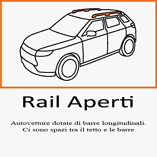 Cambiador para Citroen XM Break desde 1994 al 2000 Rails con portaesquís 4 pares Brio