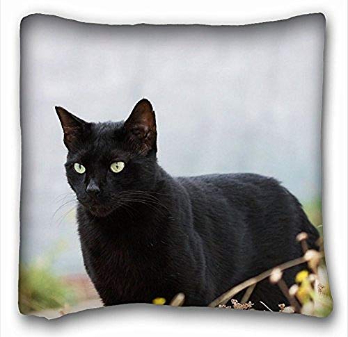 Desconocido Pillow Cover Cat Cat Black Square,Size:20x20 Inches/50 cm x 50 cm
