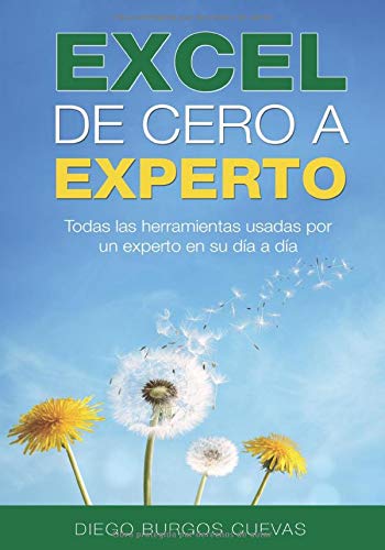 Excel de cero a experto: todas las herramientas usadas por un experto en su día a día (The Excel series)