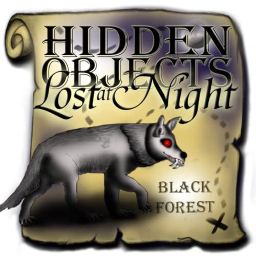 Hidden Objects Lost at Night- Black Forest