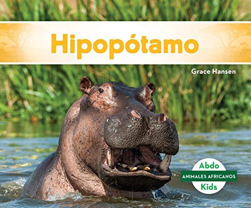 Hipopótamo (Hippopotamus) (Animales africanos / African Animals)