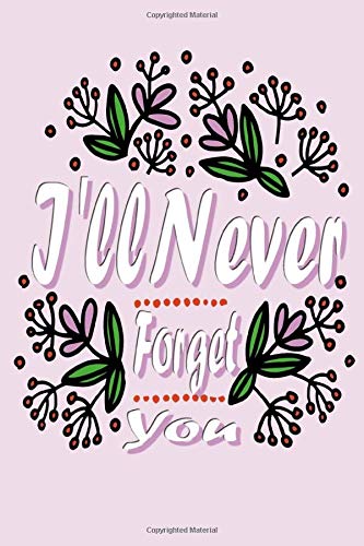 I'll Never Forget You: Numbered page, The Personal Internet Address & Password Logbook, Organizer with Alphabetical A-Z Tabs, Journal And Logbook To ... phone for the answer secret ,Vault Keeper